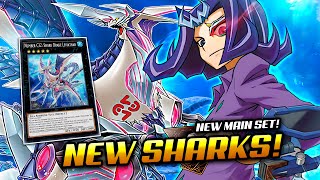 NEW SHARK SUPPORT❗ SHARK Deck (ft. NEW NUMBER C32 EVOLUTION!) | Post Rage of the Abyss (Exordio)