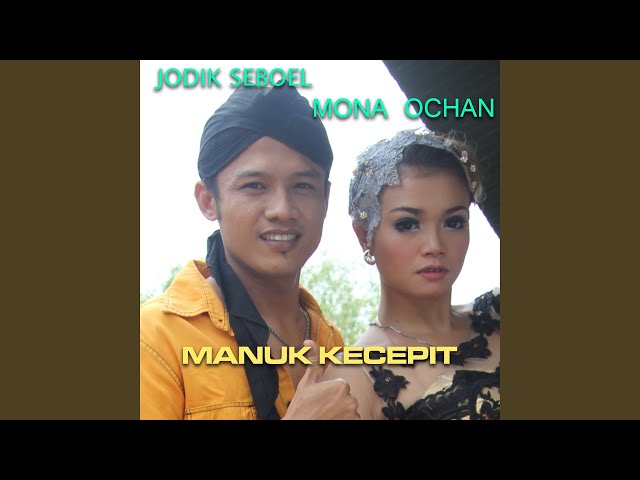 Manuk Kecepit (feat. Jodik Seboel) class=