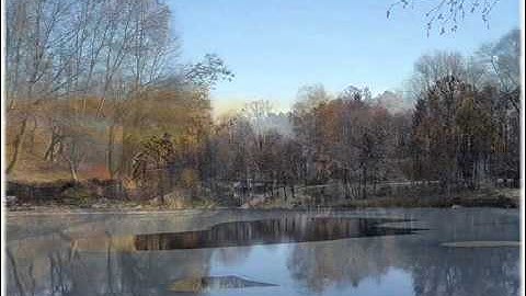 آيات السكينة/ الشيخ سعد الغامدي /تعليق ابن القيم.