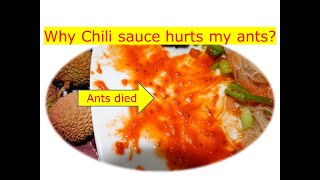 Why is chili sauce so toxic? 辣椒酱有毒 Not safe for human?