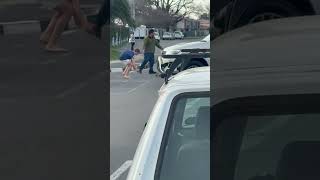 Drivers Halt Busy South African Traffic for Geese to Cross