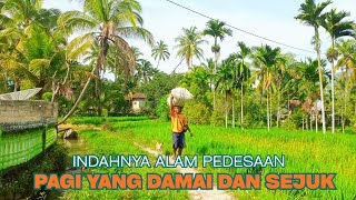 Download Lagu Indahnya Kehidupan di Pedesaan - Sederhana tapi Penuh makna !!Pedesaan Sumatera Barat MP3 Download Lagu Indahnya Kehidupan di Pedesaan - Sederhana tapi Penuh makna !!Pedesaan Sumatera Barat MP3