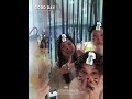Relax Time for Global Vertical Team!