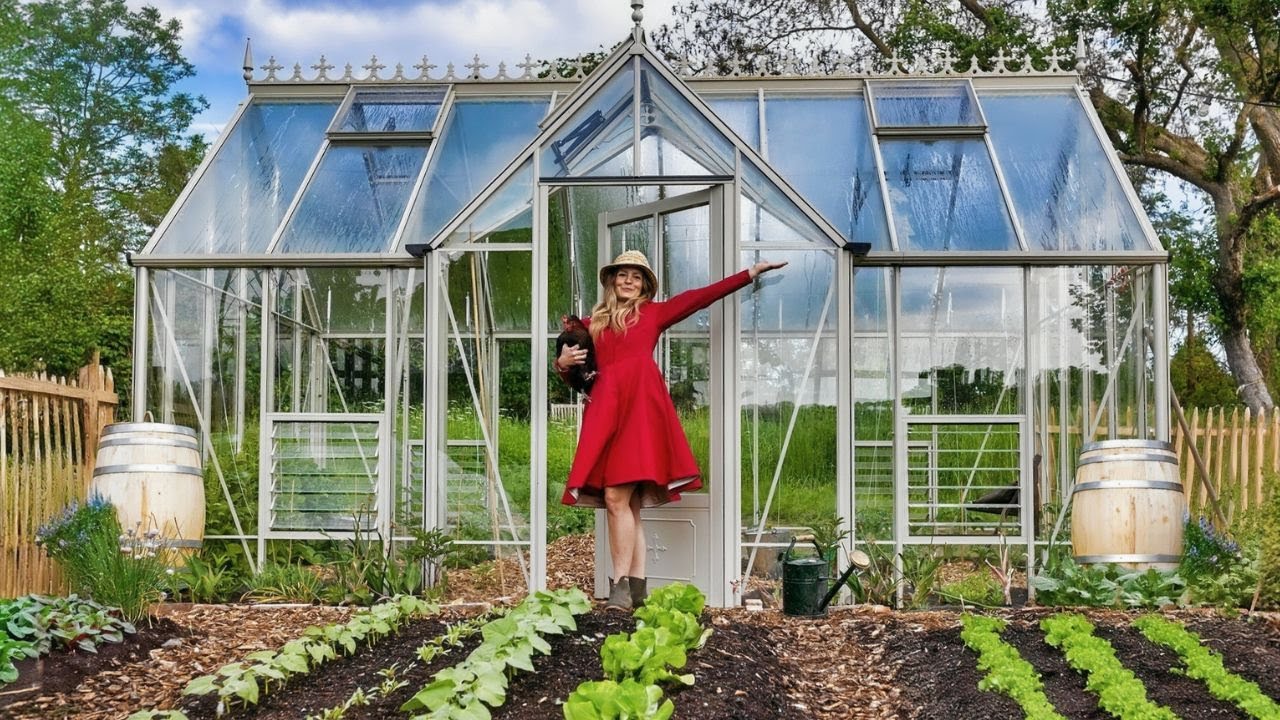 Garten Anfang Juni, Mehltau vorbeugen, Blattläuse natürlich bekämpfen, Nährstoffmangel Gurken