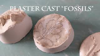 Make plaster cast "fossils"