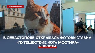 В Севастополе открыли фотовыставку «Путешествие кота Мостика»