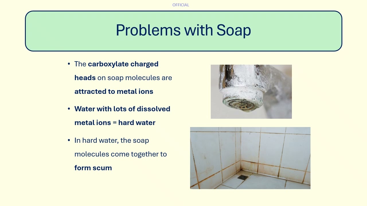 08 Soaps, Detergents and Emulsifiers