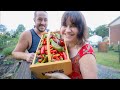 Big Pepper HARVEST (and these plants are two Dads tall) | VLOG