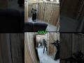 CQB Pro VS Noobs #airsoft #military #shorts