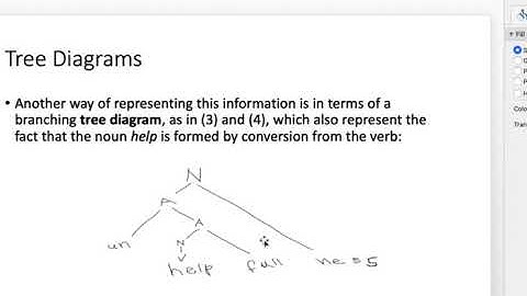 Morphology Chapter 7 Tree Diagrams Lecture video part 1