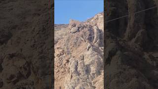 Dağ Keçilerini Gördünüz Mü