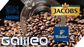 Multi-Milliarden Geschäft! Welcher Kaffee-Giganten beherrscht den Markt? | Galileo | ProSieben