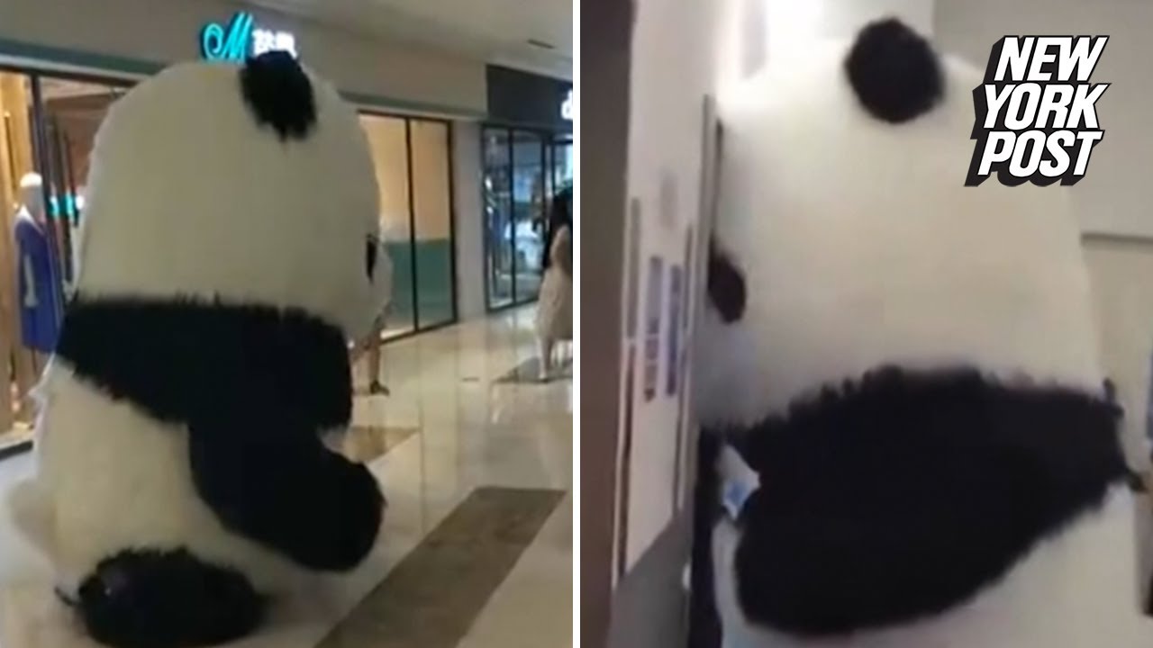 Giant panda mascot gets stuck in mall elevator