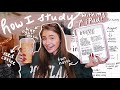 HOW I STUDY *WITH MY IPAD*: tips for pretty notes & study guides (2020)