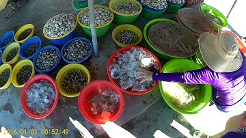 Hải sản Biển Tân Thành Gò công tiền giang