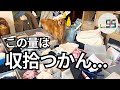 【出張収納DIY】 家族6人が使う3畳のファミクロを妻が救います