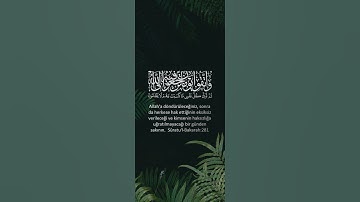 حالات قرآن كريم | واتقوا يوماً ترجعون فيه إلى الله | القارئ الشيخ إدريس أبكر