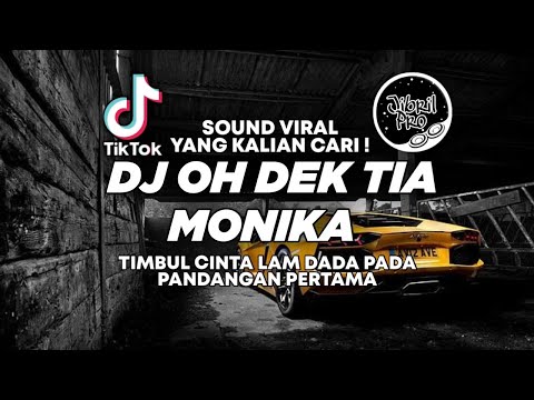 DJ TIMBUL CINTA LAM DADA PADA PANDANGAN PERTAMA - DJ TIA MONIKA TIKTOK VIRAL 2025 !