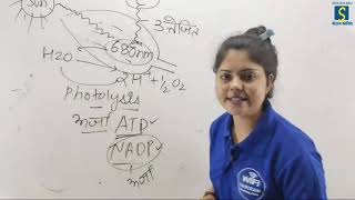 Topic:- प्रकाश संश्लेषण (photosynthesis) PART-2 By Kiran Mam