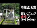 占い師が教える【金銭、恋愛、復縁、仕事、就職、宝くじ、願いごとがすぐに叶うパワースポット/埼玉県飯能市名栗・八坂神社 Japan saitama hannou naguri shrine