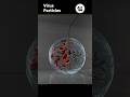 3d realtime Virus bacteria #unrealengine5 #gameart #fortnite #uefn #virus#3d