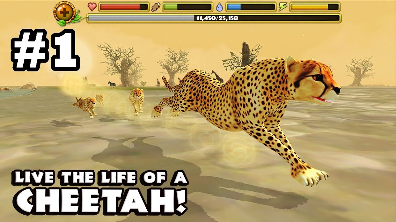 Cheetah Simulator By Gluten Free Games - Android & iOS - Gameplay Part
