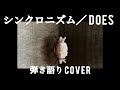 シンクロニズム/ DOES【弾き語りcover】