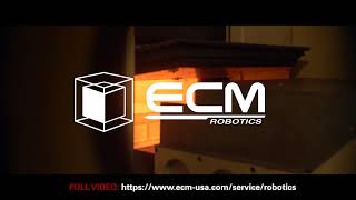 ECM Robotics / Advanced Automation
