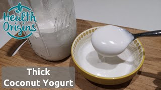 Homemade thick coconut yogurt recipe  two ways