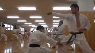 Download Training At Jka Japan Karate Association Honbu Dojo Video MP3 Training At Jka Japan Karate Association Honbu Dojo