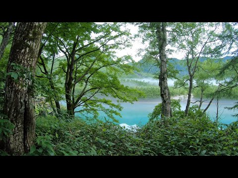 ②上高地散歩と平湯キャンプ場