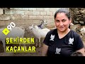 Şehirden kaçanlar: Tire | &quot;Kendi kafama göre yaşıyorum&quot;