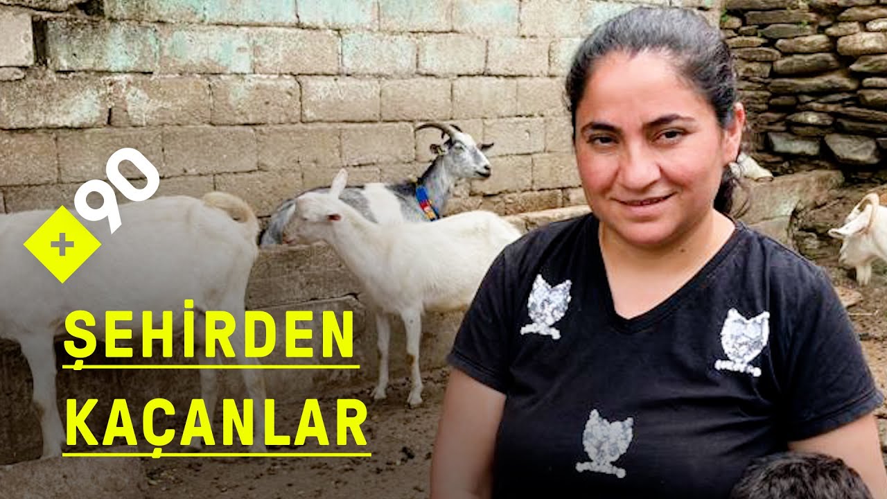 Şehirden kaçanlar: Tire | 