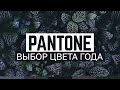 Цветовая алхимия Pantone: Цвет года 2024 раскроется в ТАЙНОЙ комнате! 💄🔮