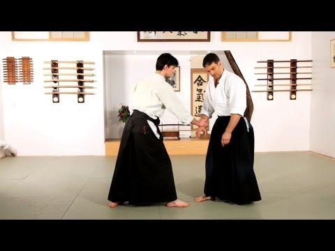 How to Do Ikkyo | Aikido Lessons