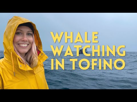 Tofino Whale Watching: The Ultimate Wildlife Experience!