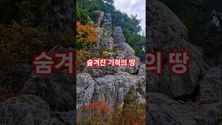 수백년 강풍에도 버틴 바위와 풍경들 #city #하늘 #나무 #sky #풍경 #shorts  #자연 #korea #cityview  #travel #멋진하늘 #djidrone