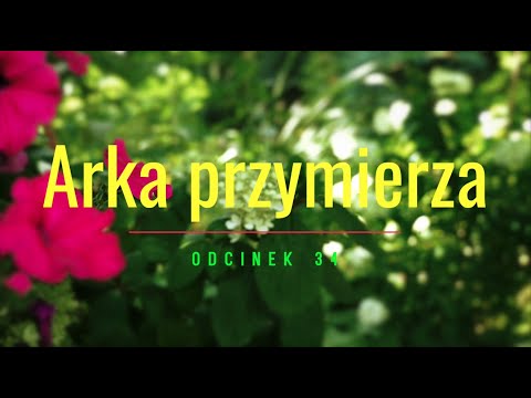 Miriam [#34] Arka przymierza