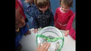 Various Fun Activities at Tutor Time Lindenhurst