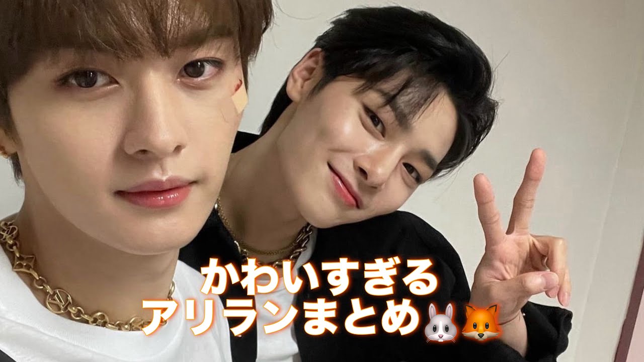 かわいすぎるアリランまとめ🐰🦊