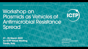 Antibiotic Resistance on Multicopy Plasmids