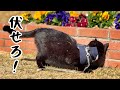 伏せろ!敵襲だ! Get down! Incoming!