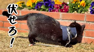 伏せろ!敵襲だ! Get down! Incoming!