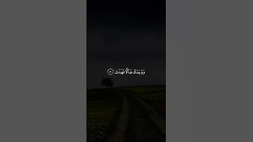 الشيخ محمد صديق المنشاوي رحمه الله | تلاوة رائعة جدا من سورة الضحى