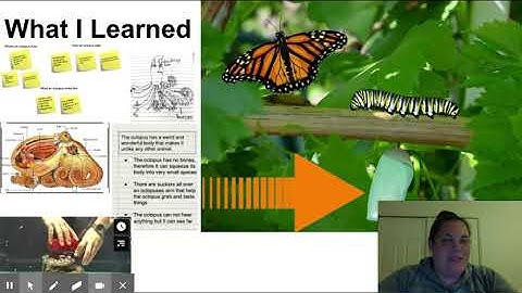 Lesson 12: Nonfiction Reading - Google Slides
