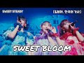 [가사/해석] SWEET STEADY(스윗스테디) - SWEET BLOOM