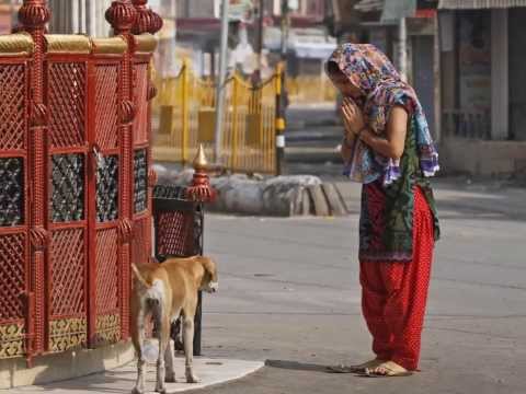 פזמון ליקינטון קליפ בהשראת התרבות ההודית 