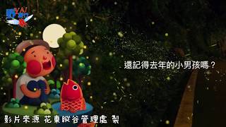 2019花蓮鯉魚潭螢火蟲季