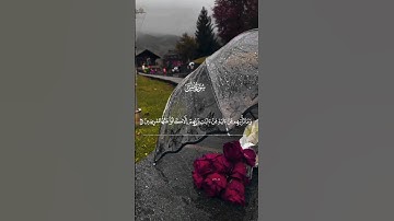 سورة يس _واذا قيل لهم اتقوا ما بين ايديكم وما خلفكم لعلكم ترحمون _مشاري العفاسي #quran #قرآن #deen