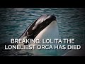 BREAKING: Lolita the Loneliest Orca on Earth Has Died